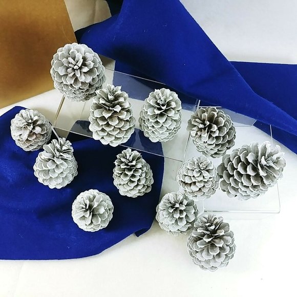 Pinecones Home Decor Crafting Pkg of 12 Handcrafted by Collins Creek Collections - Picture 4 of 8